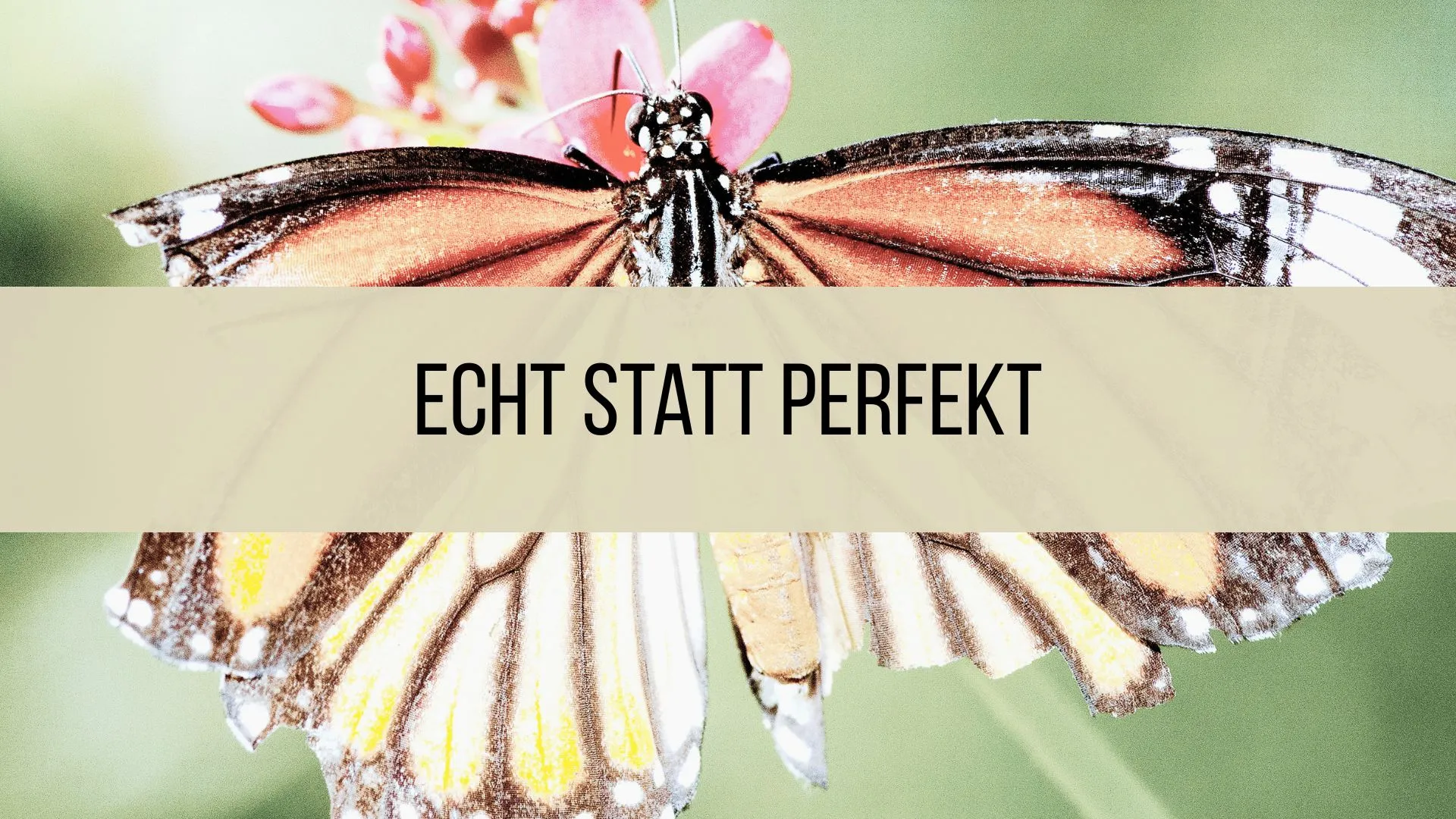 Artikel missionarischer Lebensstil 4